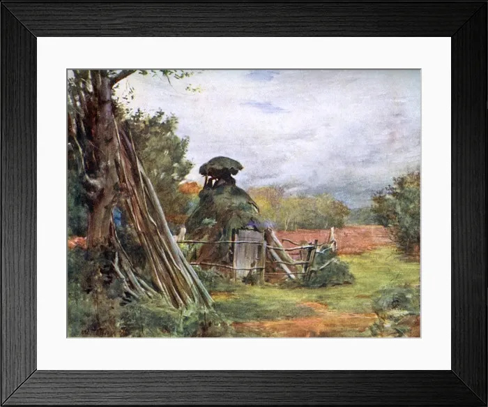 Framed Print : Charcoal / New Forest Framed Print : Charcoal / New Forest