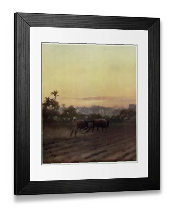 Framed Print : Ploughing, Egypt Framed Print : Ploughing, Egypt