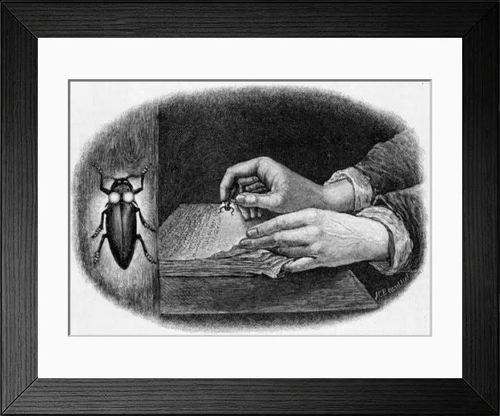 Framed Print : Reading by Firefly Light Framed Print : Reading by Firefly Light
