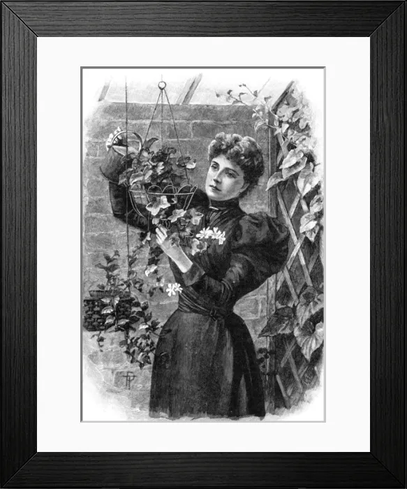 Framed Print : Watering Hanging Basket Framed Print : Watering Hanging Basket