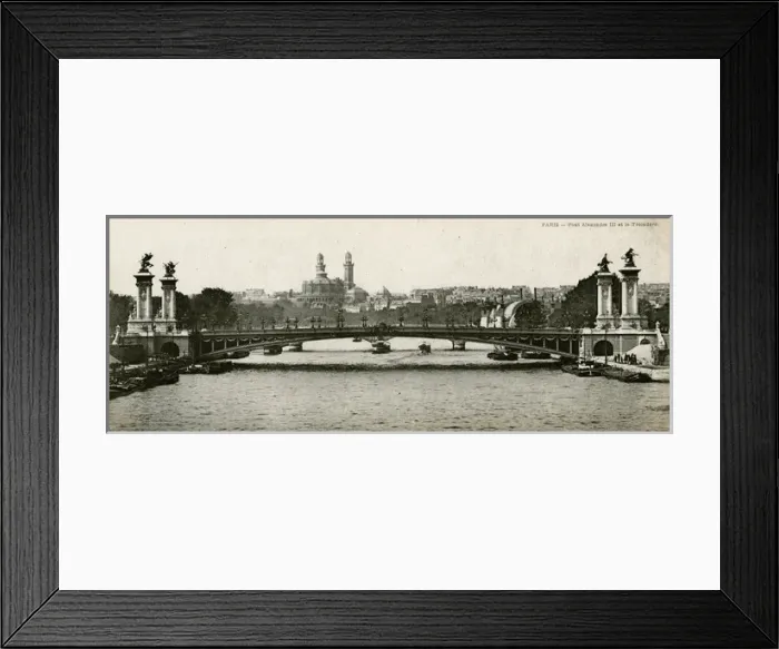Framed Print : Paris / Bridge / Alexandre Framed Print : Paris / Bridge / Alexandre