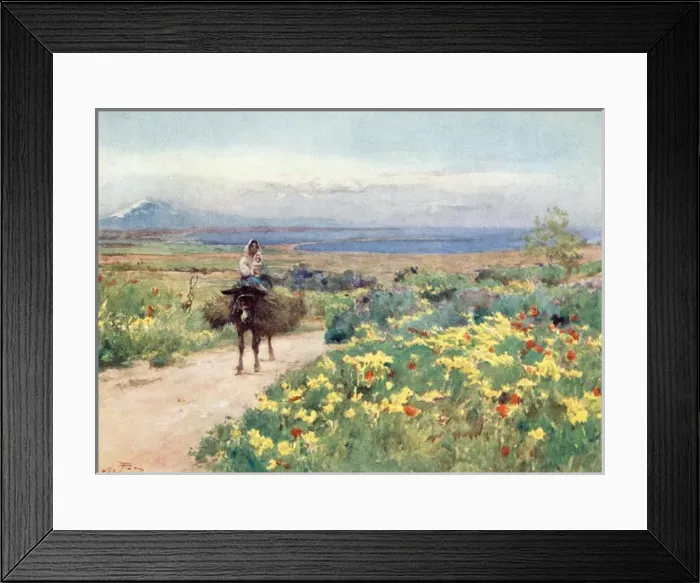Framed Print : Sicily / Scenery 1911 Framed Print : Sicily / Scenery 1911