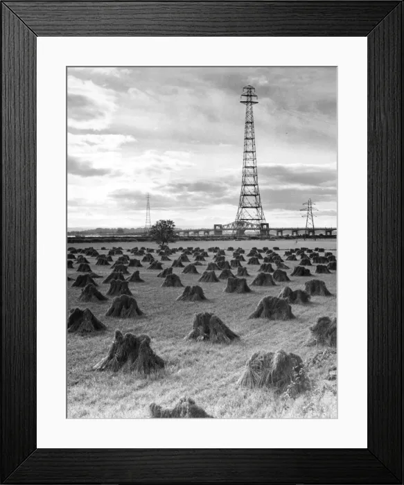 Framed Print : Wheat Field / Pylons Framed Print : Wheat Field / Pylons