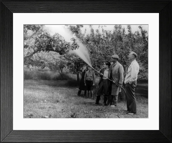 Framed Print : Spraying Apple Trees Framed Print : Spraying Apple Trees