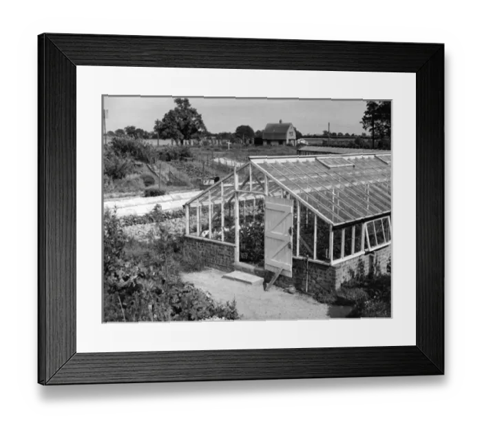 Framed Print : Greenhouse / Fox Ash Framed Print : Greenhouse / Fox Ash