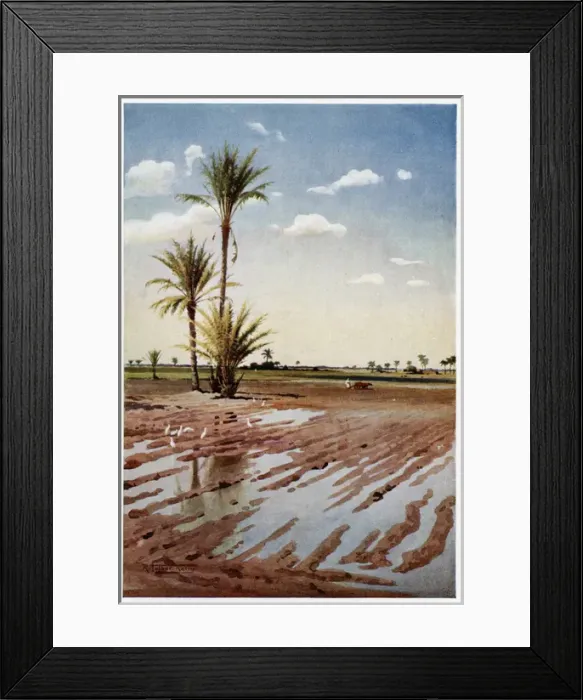 Framed Print : Irrigated Field, Egypt Framed Print : Irrigated Field, Egypt