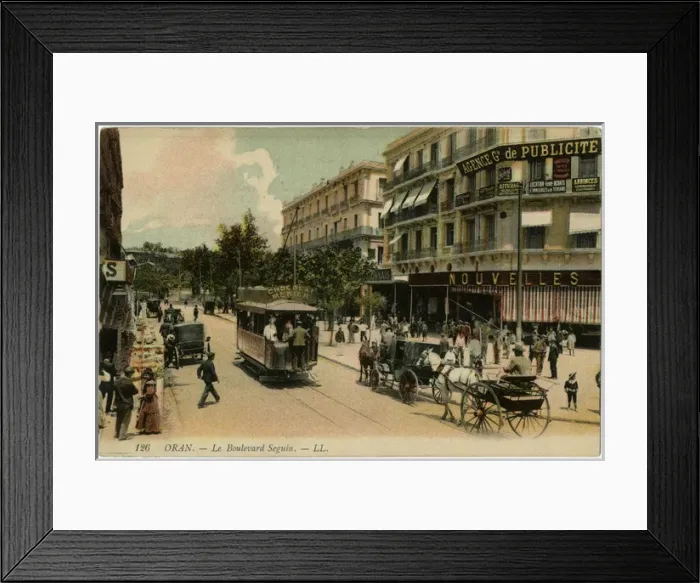 Framed Print : Algeria. Oran: Boulevard Seguin Date: circa 1905 Framed Print : Algeria. Oran: Boulevard Seguin Date: circa 1905