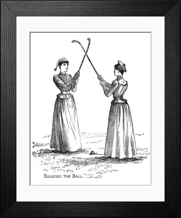 Framed Print : Bullying Hockey Ball Framed Print : Bullying Hockey Ball