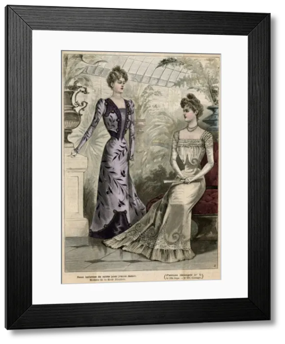 Framed Print : Greenhouse Fashions 1899 Framed Print : Greenhouse Fashions 1899