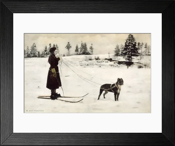 Framed Print : Ski Girl Towed by Dog Framed Print : Ski Girl Towed by Dog