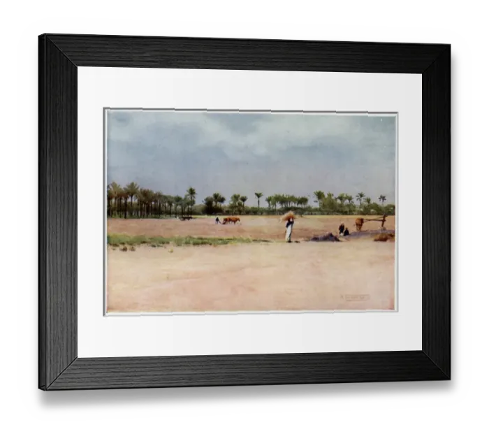 Framed Print : Esben-El-Ekiad / Egypt Framed Print : Esben-El-Ekiad / Egypt