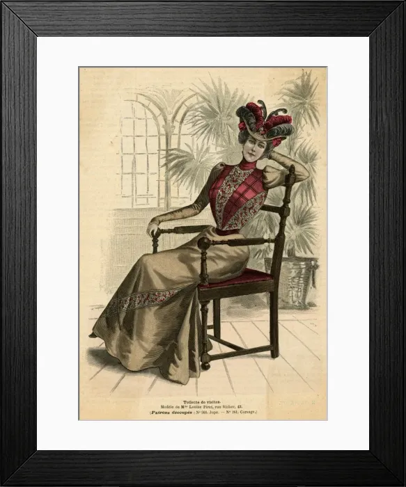 Framed Print : Visiting Dress 1899 Framed Print : Visiting Dress 1899