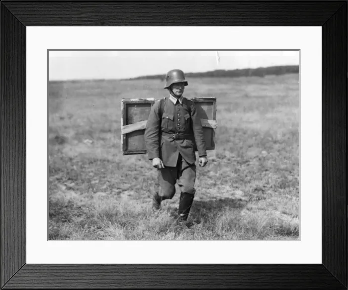 Framed Print : Training Carrier Pigeons Framed Print : Training Carrier Pigeons