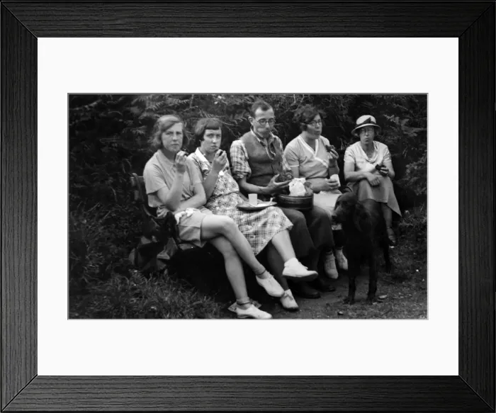 Framed Print : Busy Eating at Picnic Framed Print : Busy Eating at Picnic