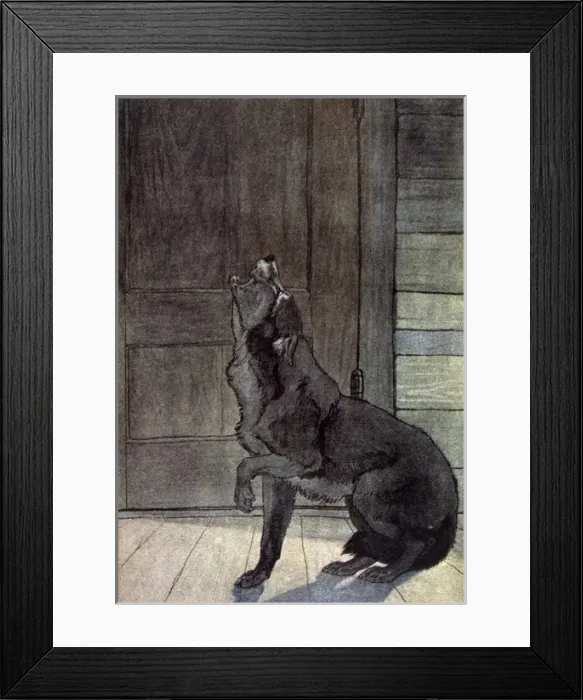 Framed Print : Jack London / White Fang Framed Print : Jack London / White Fang
