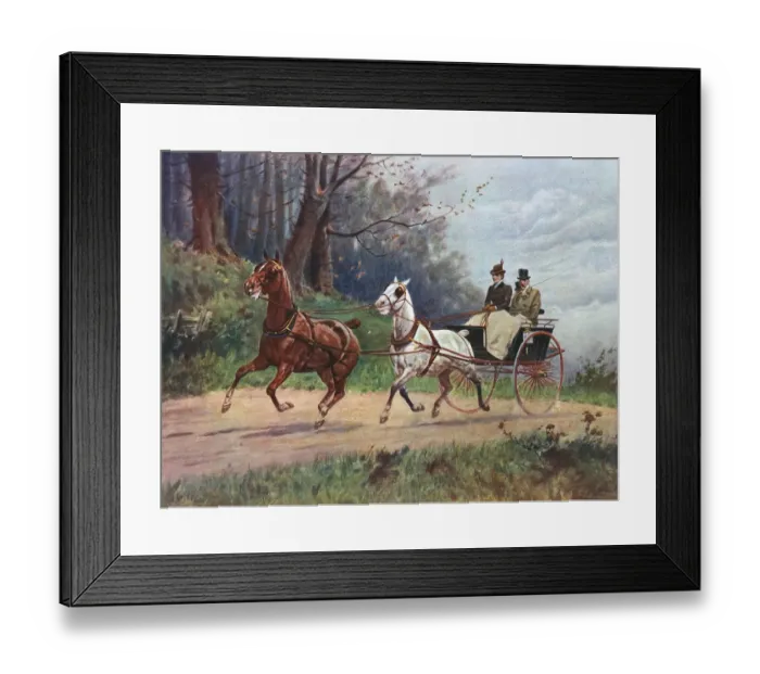 Framed Print : Lady Drives a Tandem Framed Print : Lady Drives a Tandem