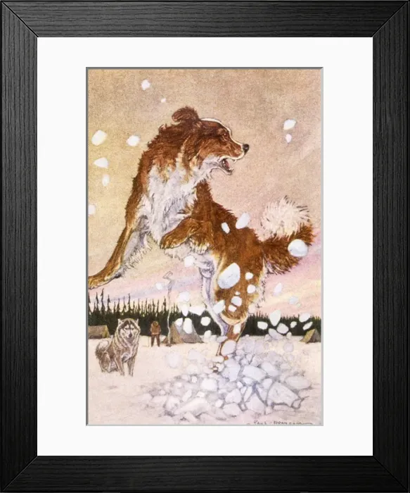 Framed Print : Jack London / Call of Wild Framed Print : Jack London / Call of Wild