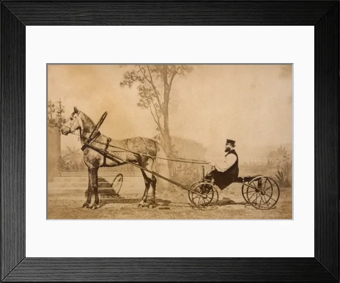 Framed Print : Trotteur Russe 1860 Framed Print : Trotteur Russe 1860