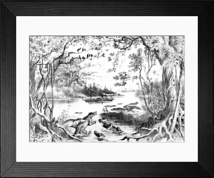 Framed Print : Ma-Robert / Zambesi River Framed Print : Ma-Robert / Zambesi River
