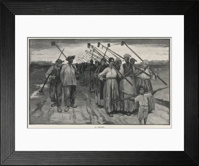 Framed Print : Louisiana Sugar Workers Framed Print : Louisiana Sugar Workers