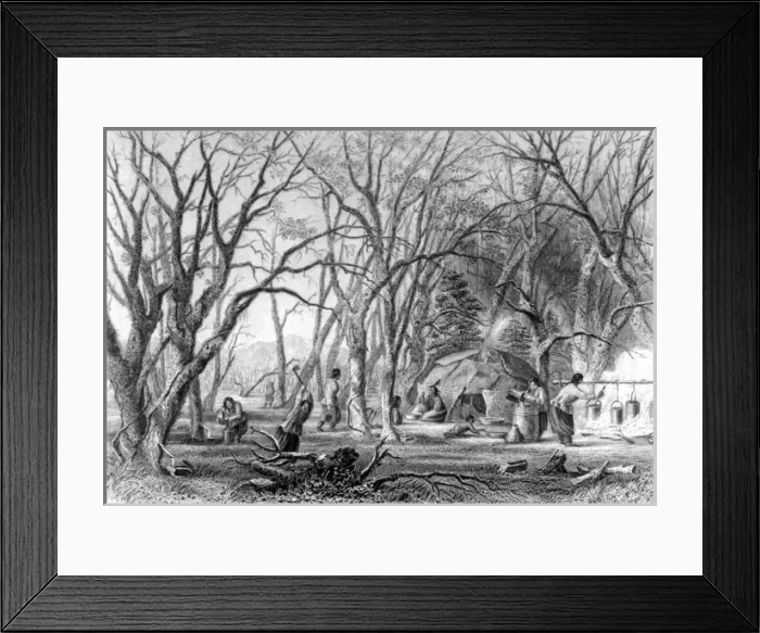 Framed Print : Native U. s. Sugar Camp Framed Print : Native U. s. Sugar Camp