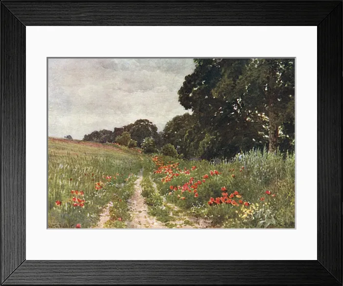 Framed Print : Path in Poppy Field Framed Print : Path in Poppy Field