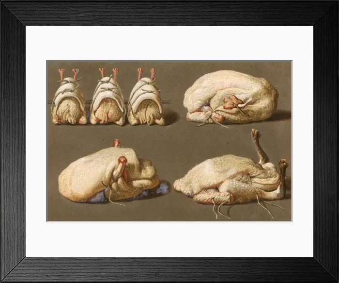 Framed Print : Poultry Ready to Cook Framed Print : Poultry Ready to Cook