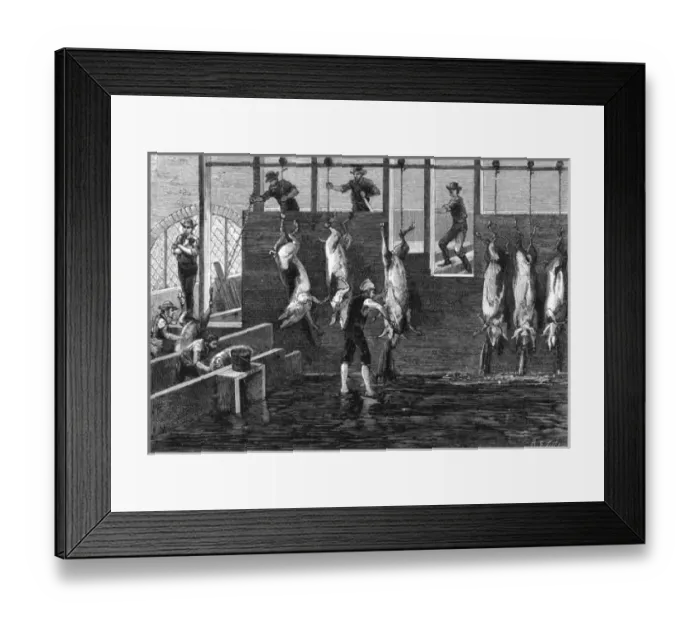 Framed Print : Chicago Butchery
