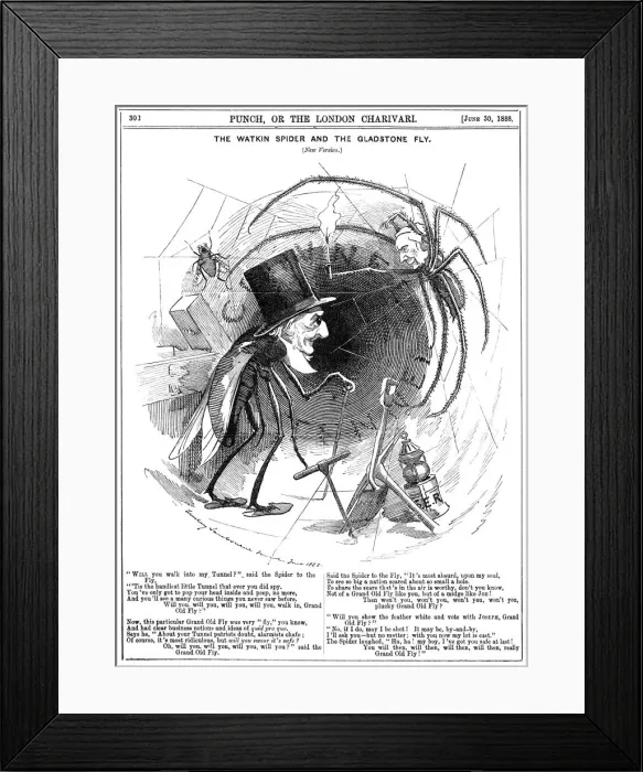 Framed Print : Gladstone Reluctant Framed Print : Gladstone Reluctant