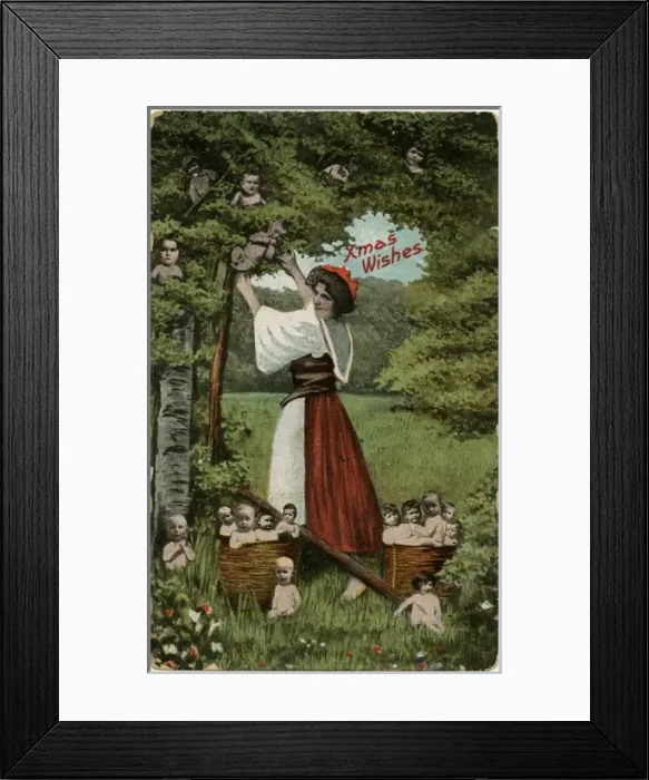 Framed Print : Babies Grow on Trees Framed Print : Babies Grow on Trees