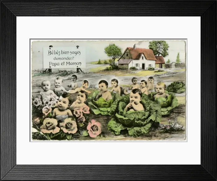 Framed Print : Babies Await Parents Framed Print : Babies Await Parents