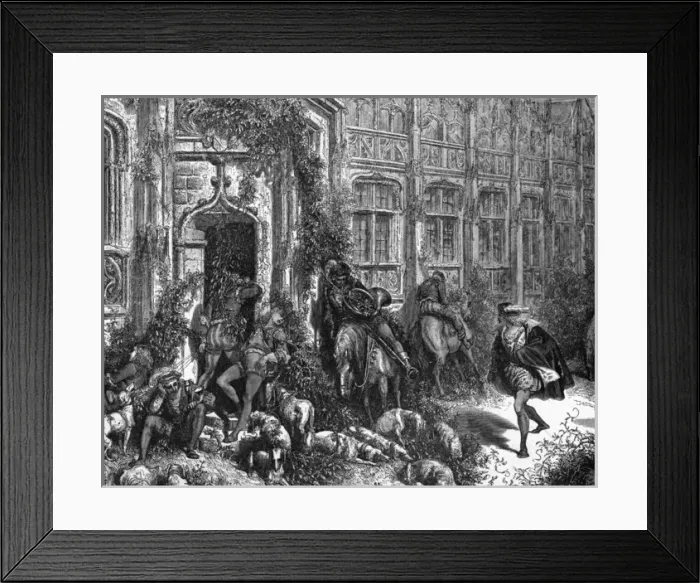 Framed Print : Sleeping Beauty - 2 Framed Print : Sleeping Beauty - 2
