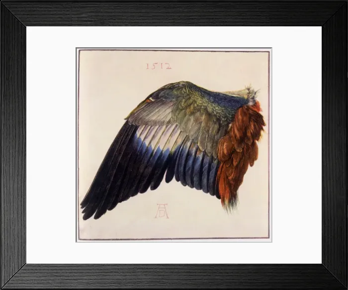 Framed Print : Wing by Durer Framed Print : Wing by Durer