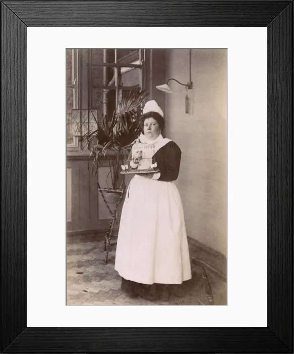 Framed Print : Maid and Pet Bird Framed Print : Maid and Pet Bird