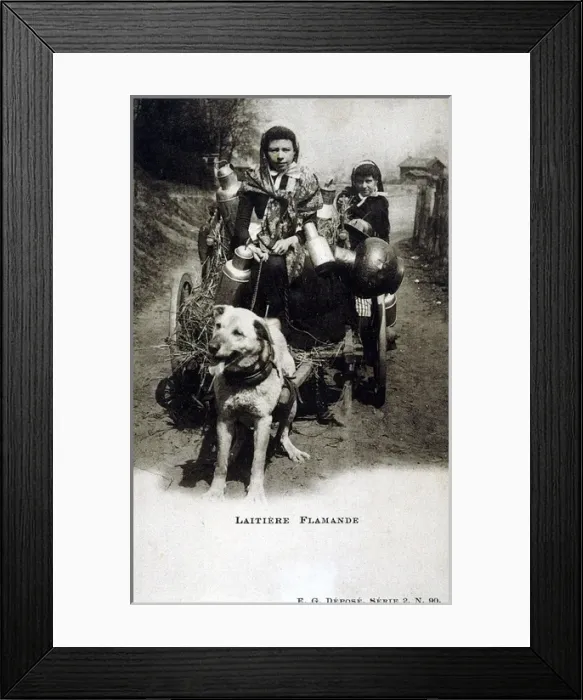 Framed Print : Belgian milk cart Framed Print : Belgian milk cart