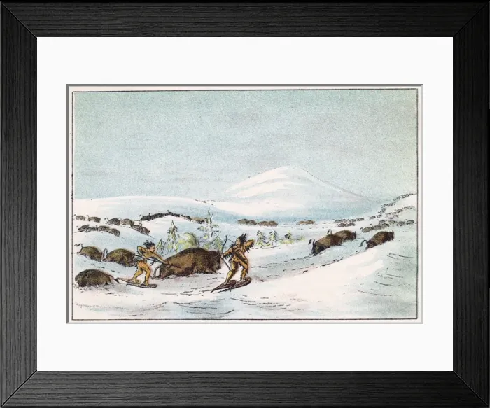 Framed Print : Racial / Hunting Buffalo Framed Print : Racial / Hunting Buffalo