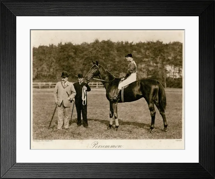 Framed Print : Edward VII W / Persimmon Framed Print : Edward VII W / Persimmon