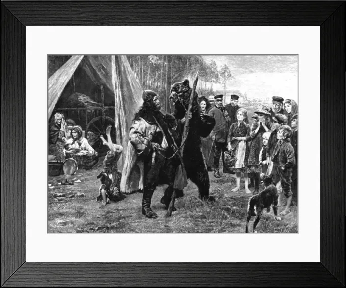Framed Print : Trained Bear 1892 Framed Print : Trained Bear 1892