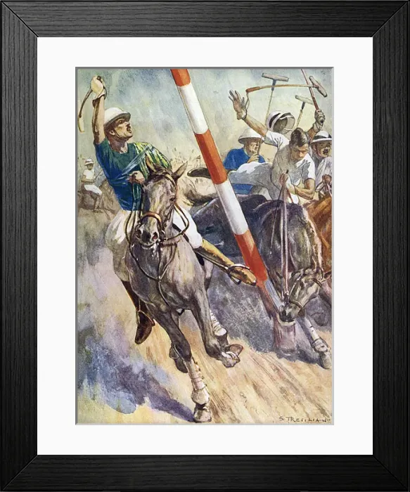Framed Print : The Maltese Cat (Polo) Framed Print : The Maltese Cat (Polo)