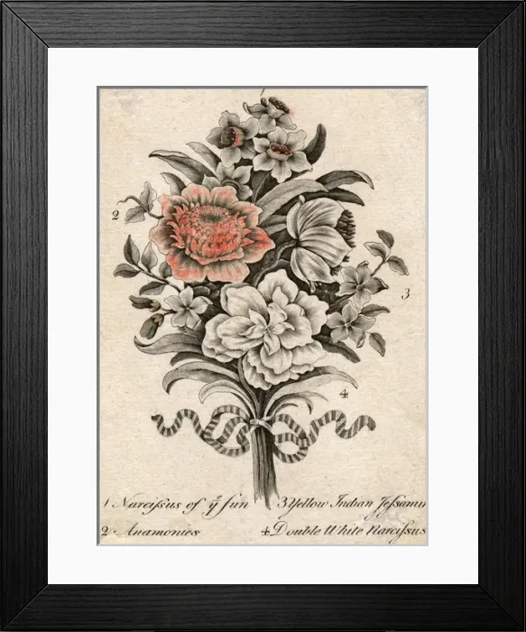 Framed Print : Narcissus Etc C18Th Framed Print : Narcissus Etc C18Th