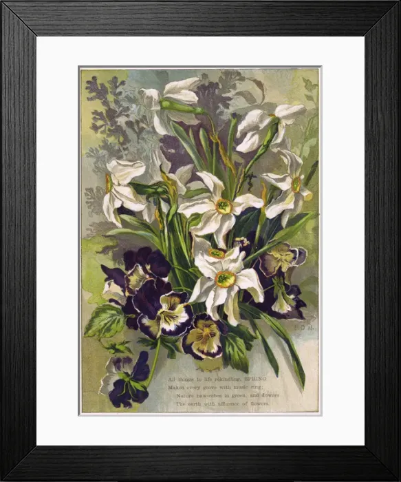 Framed Print : Spring Flowers C. 1870 Framed Print : Spring Flowers C. 1870