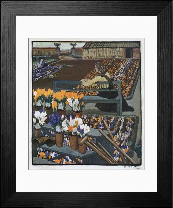 Framed Print : Crocus Garden 1904 Framed Print : Crocus Garden 1904