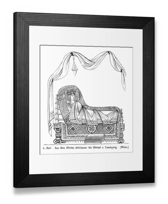 Framed Print : C12 King in Bed Framed Print : C12 King in Bed