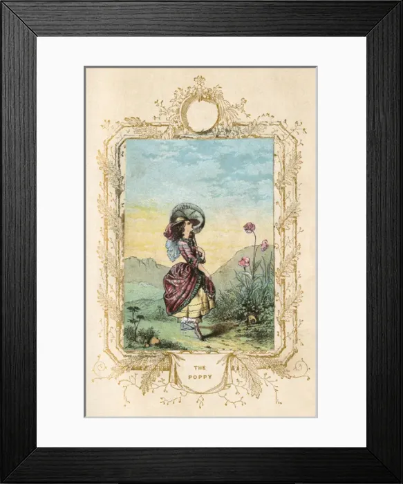 Framed Print : Girl admiring a poppy Framed Print : Girl admiring a poppy