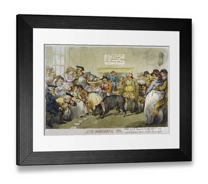 Framed Print : Wonderful Learned Pig Framed Print : Wonderful Learned Pig