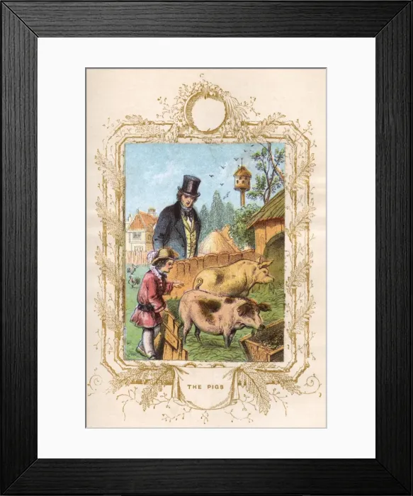 Framed Print : Father and son with pigs Framed Print : Father and son with pigs