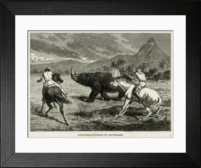Framed Print : S Africa Rhino Hunt Framed Print : S Africa Rhino Hunt