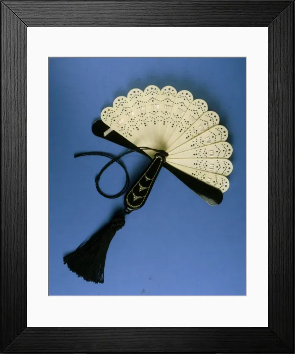 Framed Print : Compact with Open Fan Framed Print : Compact with Open Fan