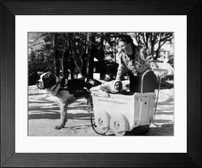 Framed Print : Beatrix and St Bernard Framed Print : Beatrix and St Bernard