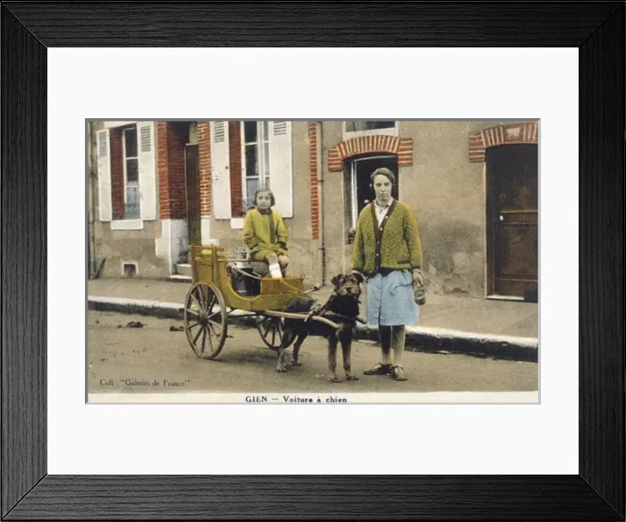 Framed Print : French Dog Cart Framed Print : French Dog Cart